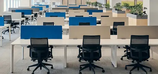Modern open-plan office space featuring clean workstations, ergonomic chairs, and sanitized carpets provided by professional office cleaning services in Tampa, FL.