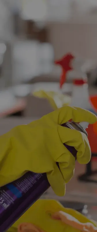 Reliable Residential & Commercial Cleaning in Tampa, FL