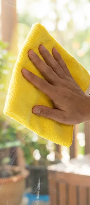 Expert Window Cleaning in Tampa, FL